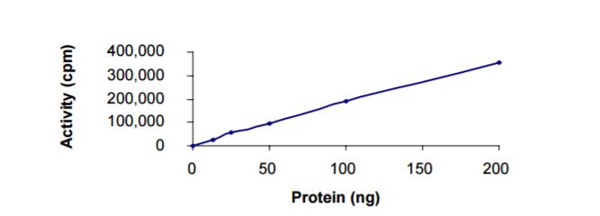 The specific activity of ZAP70 was determined to be 111 nmol/min/mg.